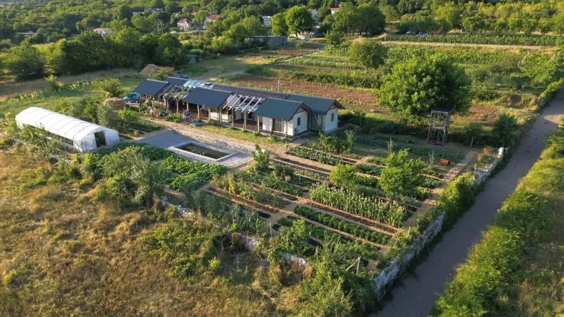The hempcrete house from the garden, late afternoon