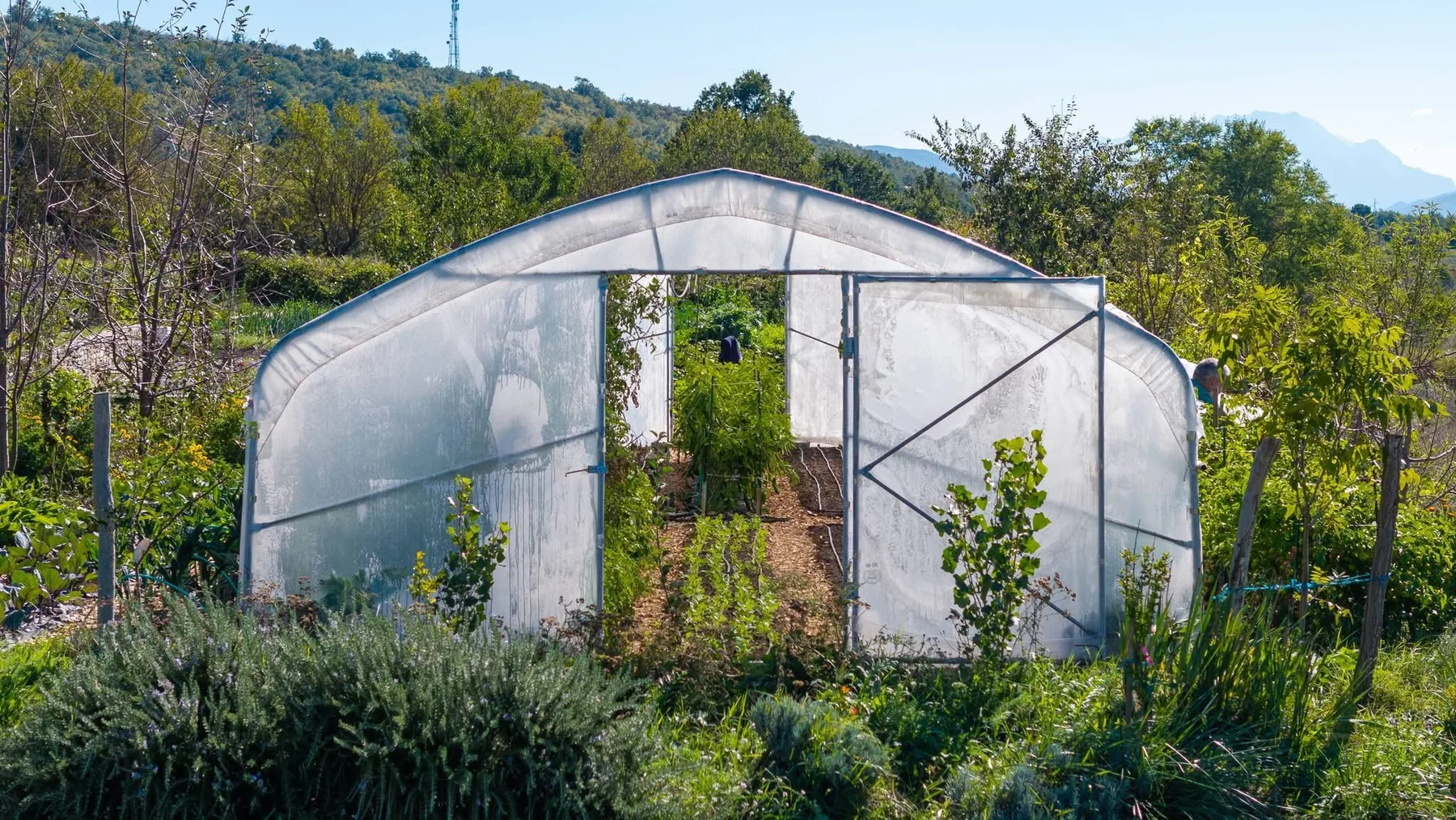 The terrace and the karst beyond