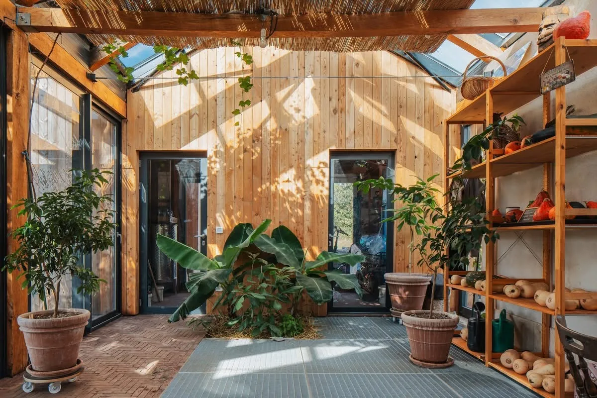 The greenhouse atrium, banana plants and dappled light