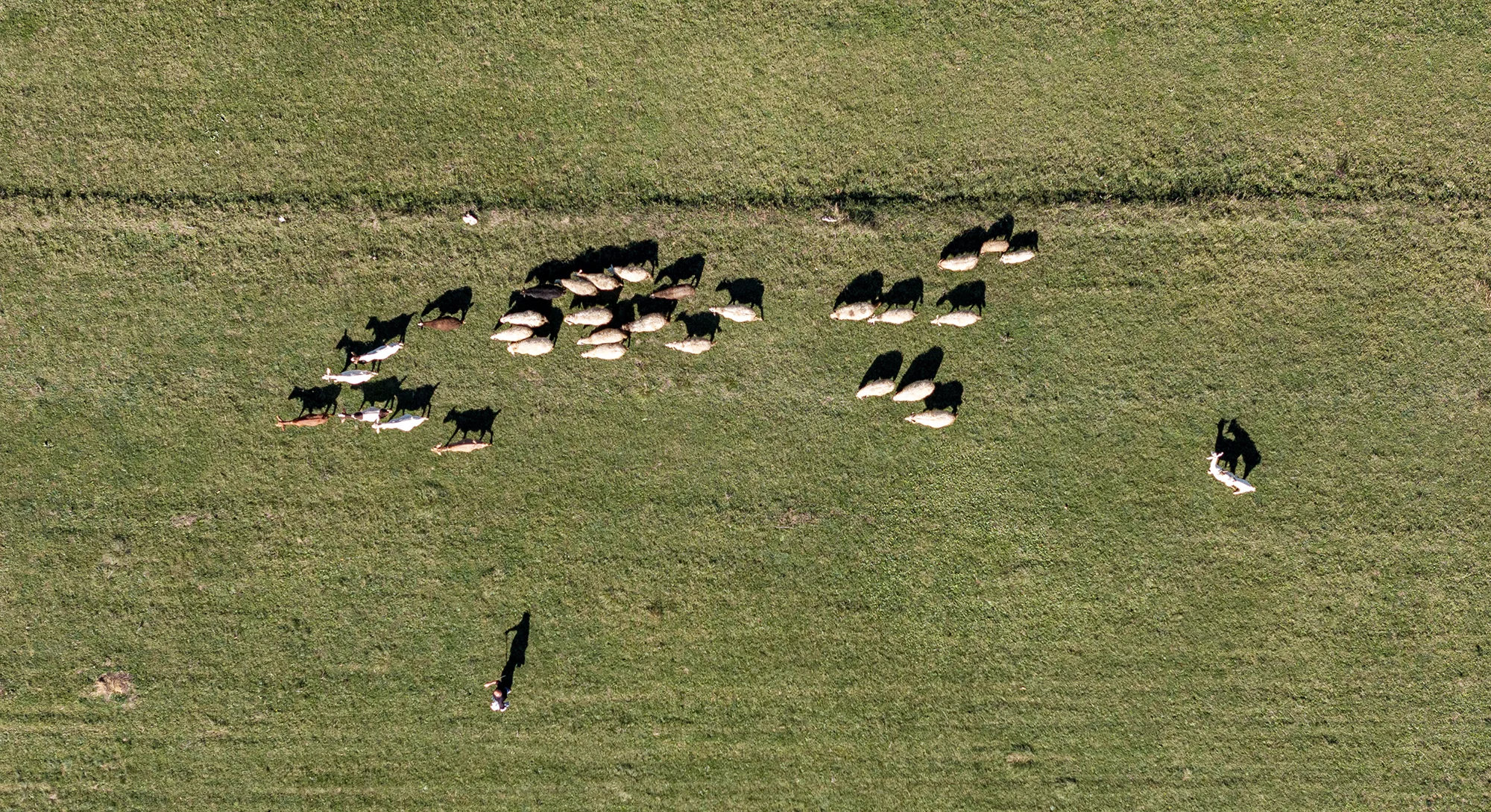Dalmatian hinterland landscape at dusk