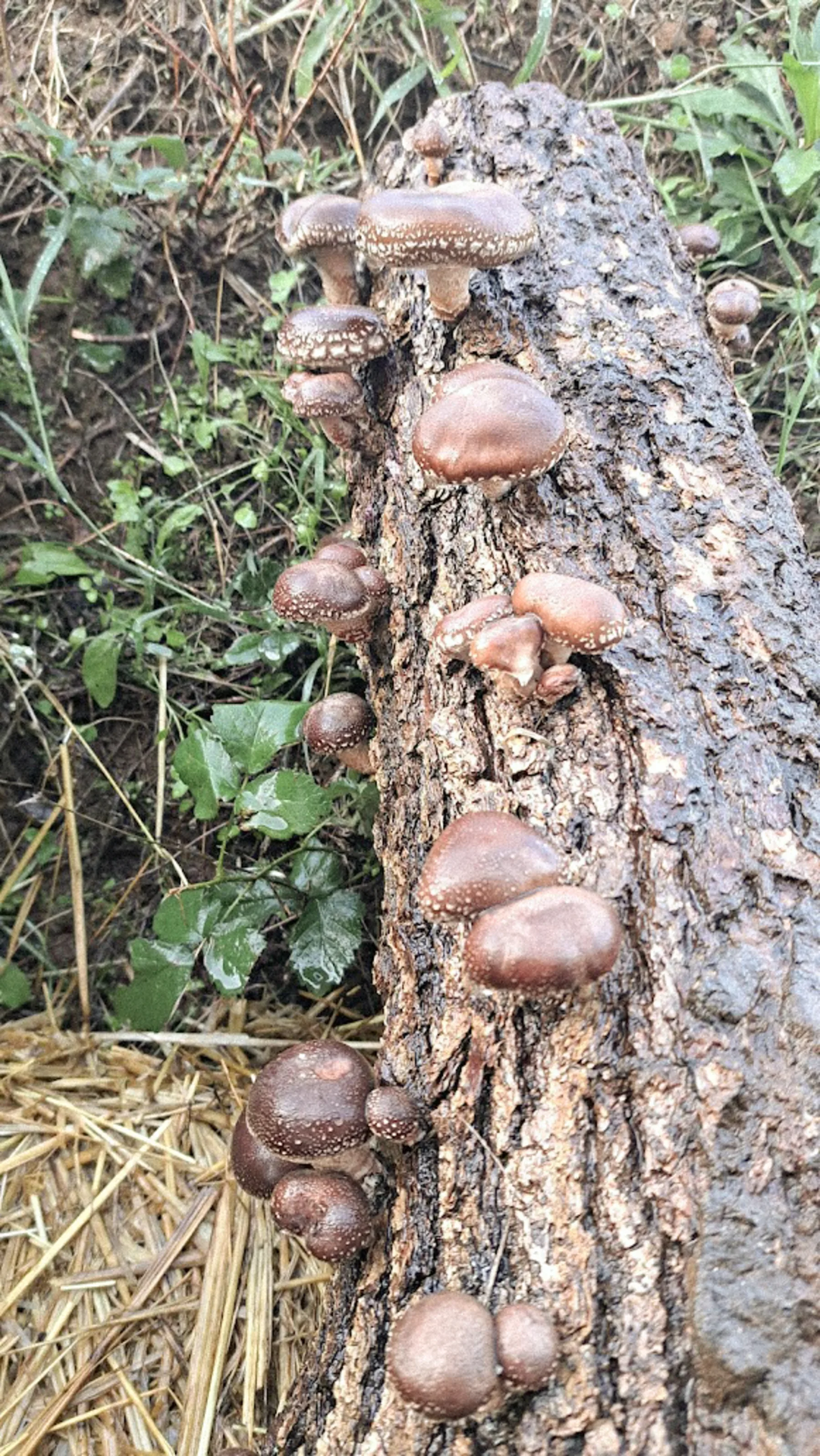 Plate of a seasonal Mediterranean brunch