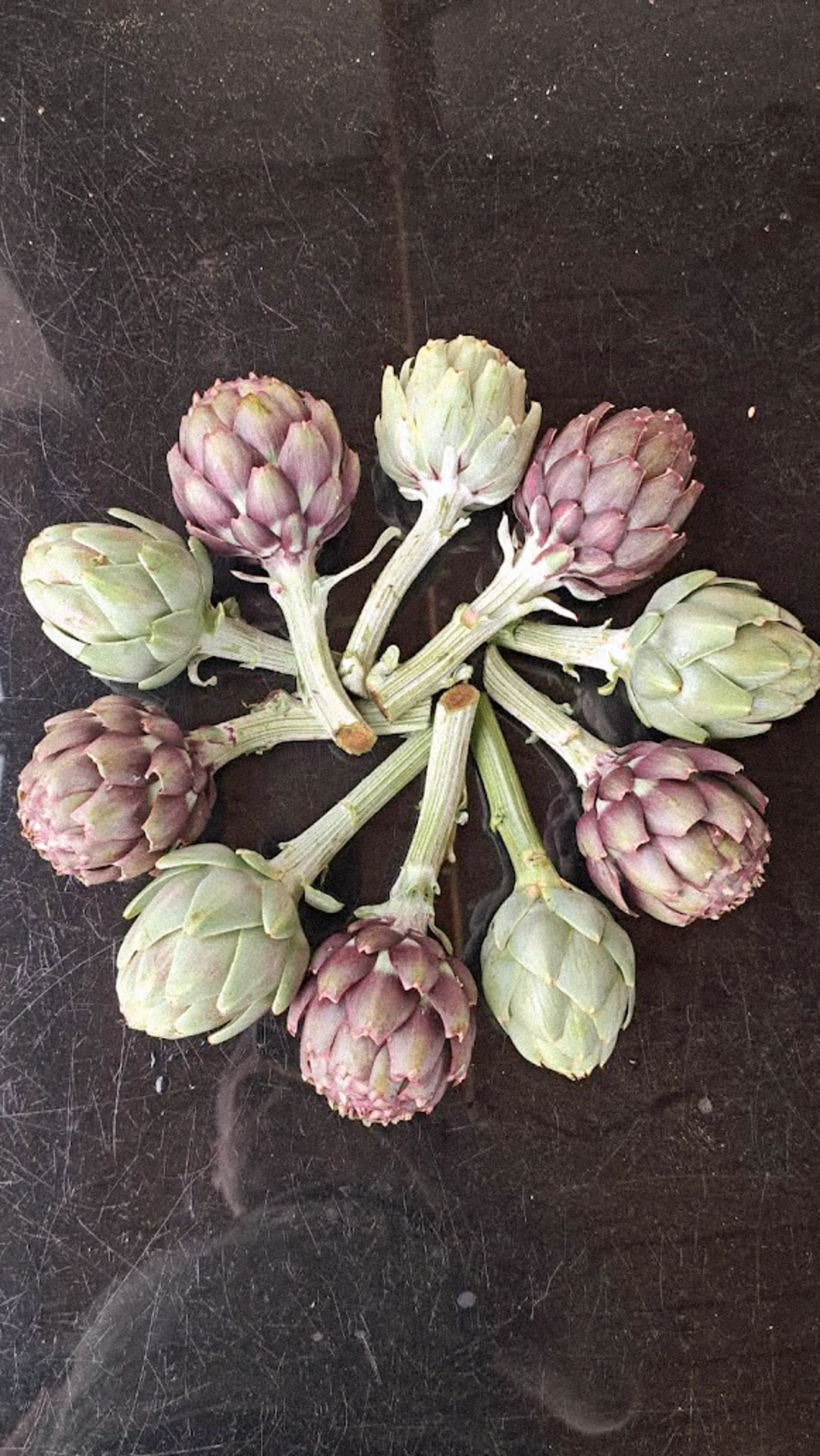 At the table, food explaining itself